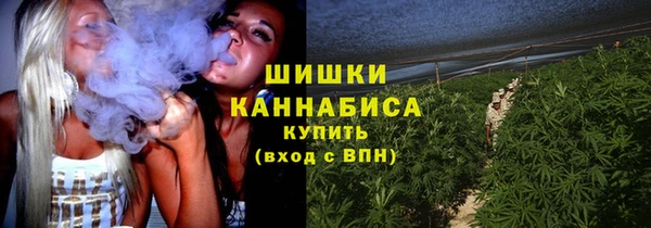 ГАЛЛЮЦИНОГЕННЫЕ ГРИБЫ Абдулино