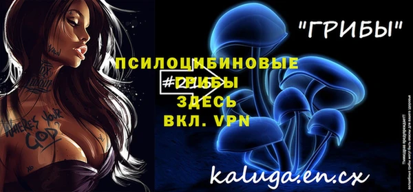 ECSTASY Покровск